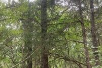 Property for sale in Marshall County, Mississippi