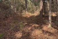 Undeveloped Land for sale in Leon County, Florida