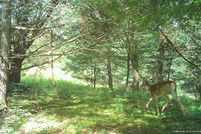 Property for sale in Schoharie County, New York