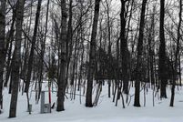 Lakefront Property for sale in Delta County, Michigan