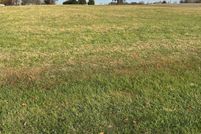 Undeveloped Land for sale in White County, Illinois