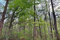 Undeveloped Land for sale in Tallapoosa County, Alabama