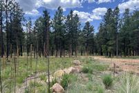 Property for sale in San Miguel County, New Mexico