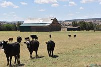 Undeveloped Land for sale in Guadalupe County, New Mexico