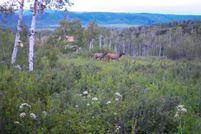Property for sale in Routt County, Colorado