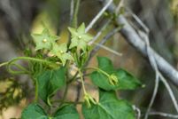 Property for sale in Travis County, Texas