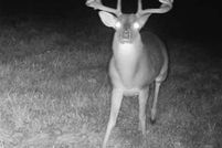 Property for sale in Cass County, Texas