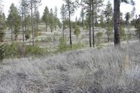 Undeveloped Land for sale in Lincoln County, Washington