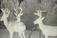 Lakefront Property for sale in Attala County, Mississippi