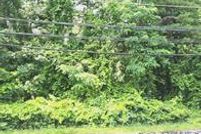 Property for sale in Suffolk County, New York