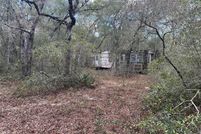 Undeveloped Land for sale in Marion County, Florida