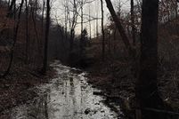 Undeveloped Land for sale in Cumberland County, Kentucky