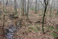 Property for sale in Randolph County, Alabama