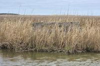 Property for sale in Dorchester County, Maryland