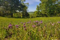 Property for sale in Stone County, Missouri