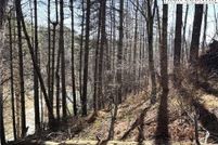 Undeveloped Land for sale in Alleghany County, North Carolina