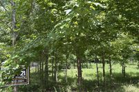 Undeveloped Land for sale in Saline County, Arkansas