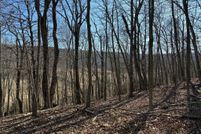 Undeveloped Land for sale in Hampshire County, West Virginia
