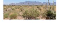 Property for sale in Luna County, New Mexico