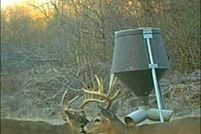 Property for sale in Edmonson County, Kentucky