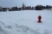 Property for sale in Will County, Illinois