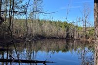 Undeveloped Land for sale in Pike County, Alabama