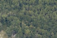 Undeveloped Land for sale in Walton County, Florida