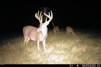 Lakefront Property for sale in Hinds County, Mississippi