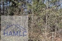 Undeveloped Land for sale in Liberty County, Georgia