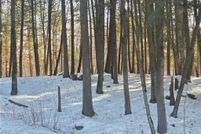 Property for sale in Chippewa County, Wisconsin