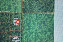 Undeveloped Land for sale in Lake County, Michigan