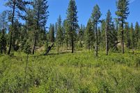 Undeveloped Land for sale in Ferry County, Washington
