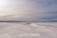 Undeveloped Land for sale in Phillips County, Montana