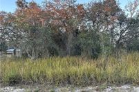 Undeveloped Land for sale in Highlands County, Florida