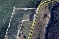 Undeveloped Land for sale in Pierce County, Georgia