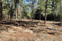 Undeveloped Land for sale in Jasper County, Texas