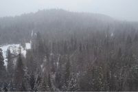 Undeveloped Land for sale in Mineral County, Montana