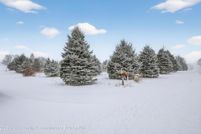 Undeveloped Land for sale in Eaton County, Michigan