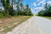 Property for sale in Levy County, Florida
