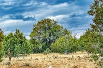 Property for sale in Yavapai County, Arizona