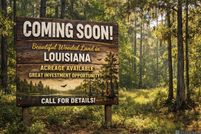 Undeveloped Land for sale in Livingston Parish, Louisiana
