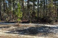 Undeveloped Land for sale in Brantley County, Georgia