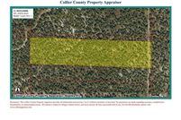 Property for sale in Collier County, Florida