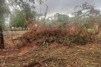 Property for sale in Lee County, Florida