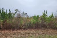 Property for sale in Greene County, Alabama