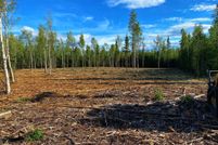 Undeveloped Land for sale in Southeast Fairbanks Borough, Alaska