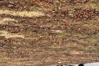 Property for sale in Monmouth County, New Jersey