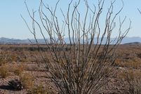 Property for sale in Presidio County, Texas