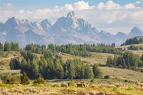 Property for sale in Teton County, Wyoming