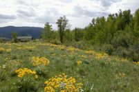 Undeveloped Land for sale in Gallatin County, Montana